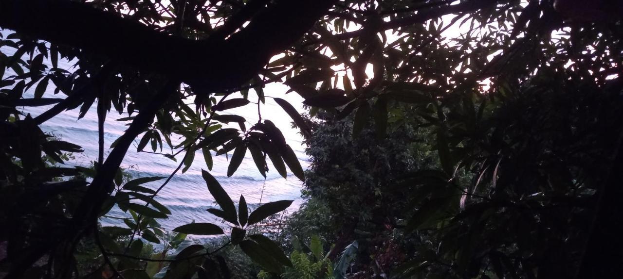 Treehouse Above The Beach ปอร์ตอันโตนิโอ ภายนอก รูปภาพ