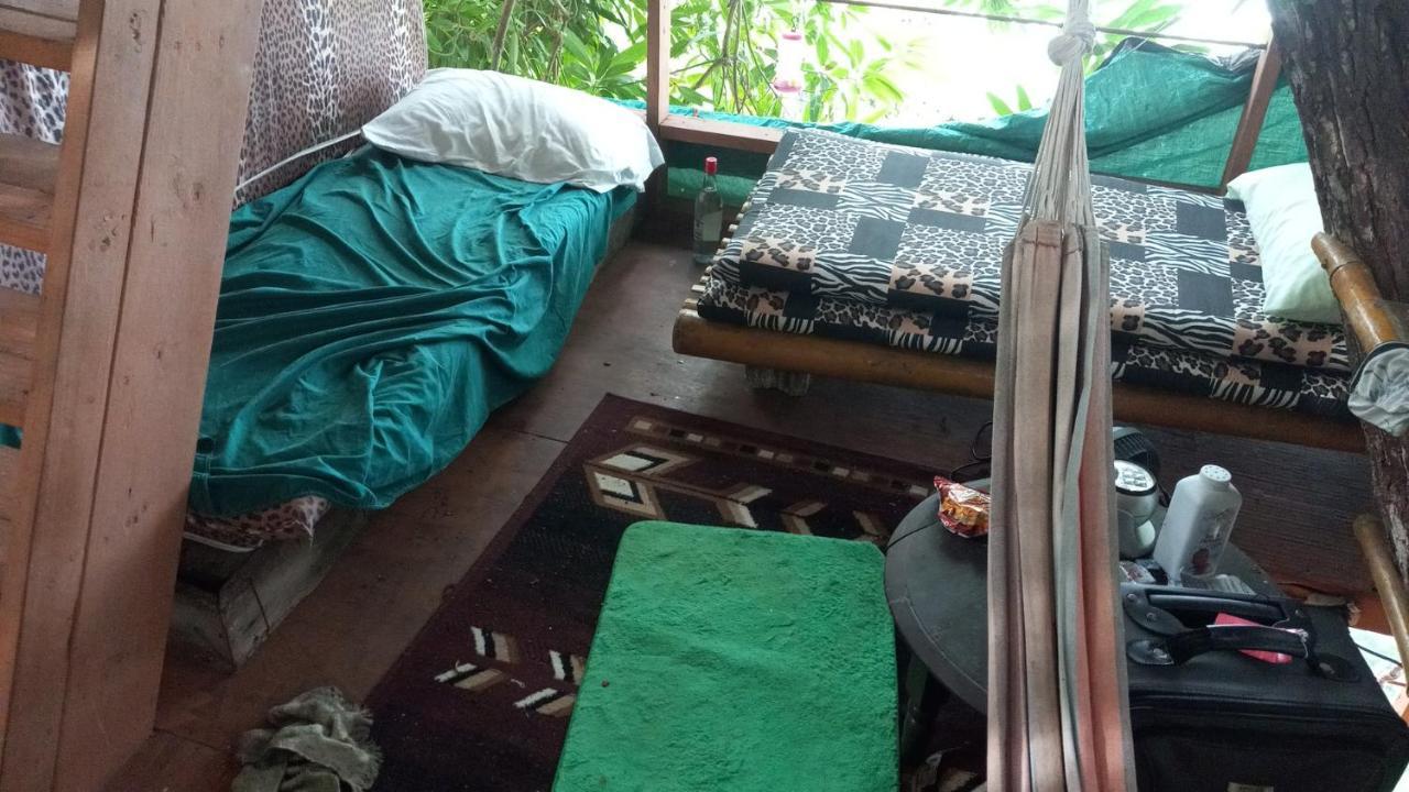 Treehouse Above The Beach ปอร์ตอันโตนิโอ ภายนอก รูปภาพ