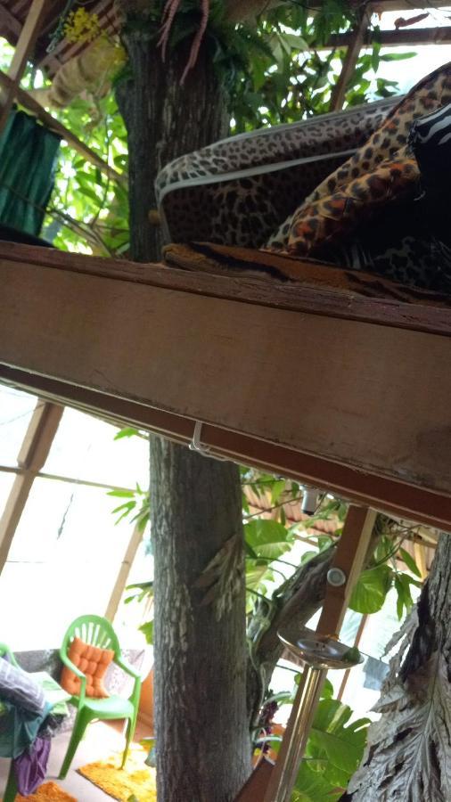 Treehouse Above The Beach ปอร์ตอันโตนิโอ ภายนอก รูปภาพ