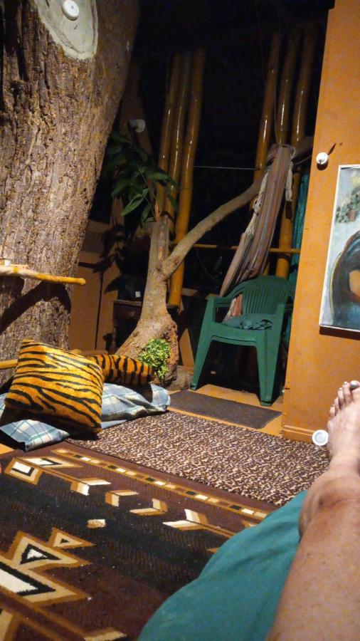 Treehouse Above The Beach ปอร์ตอันโตนิโอ ภายนอก รูปภาพ