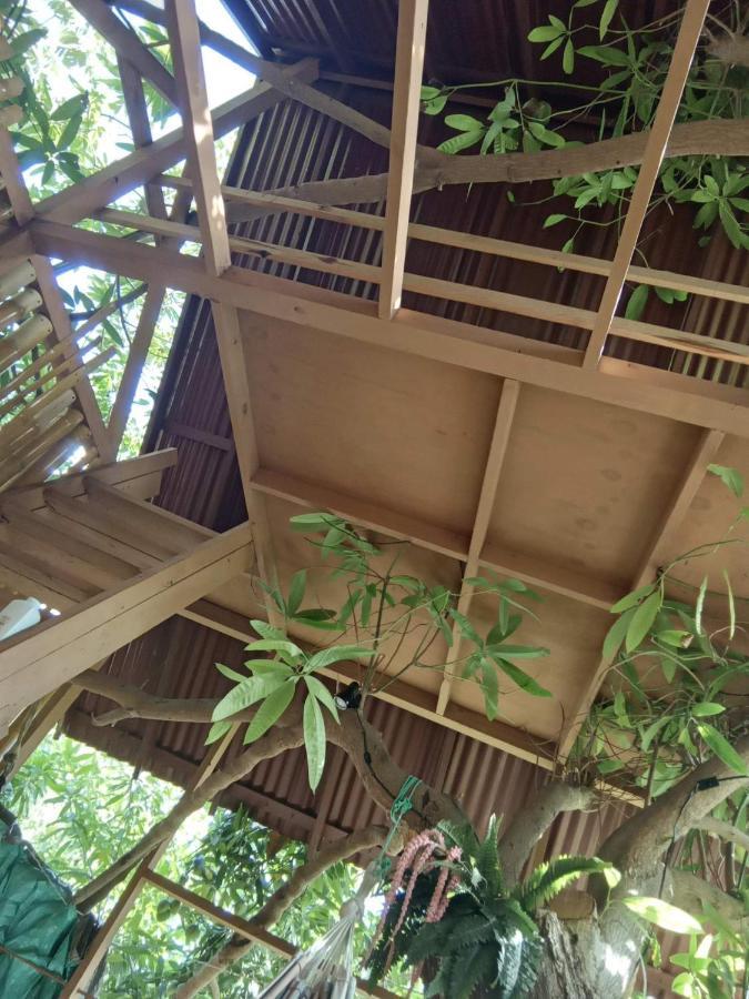 Treehouse Above The Beach ปอร์ตอันโตนิโอ ภายนอก รูปภาพ