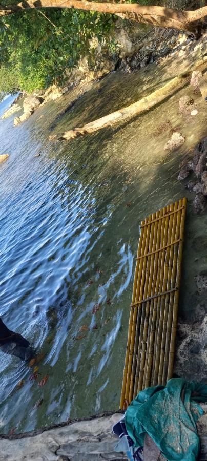 Treehouse Above The Beach ปอร์ตอันโตนิโอ ภายนอก รูปภาพ