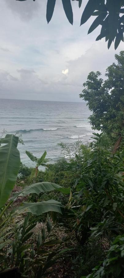Treehouse Above The Beach ปอร์ตอันโตนิโอ ภายนอก รูปภาพ
