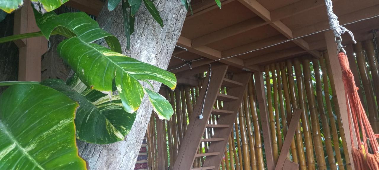 Treehouse Above The Beach ปอร์ตอันโตนิโอ ภายนอก รูปภาพ