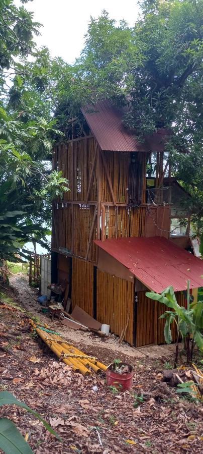 Treehouse Above The Beach ปอร์ตอันโตนิโอ ภายนอก รูปภาพ