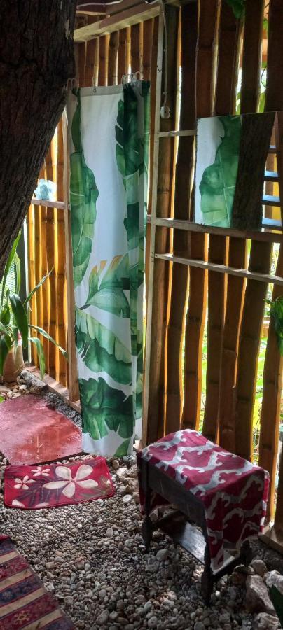 Treehouse Above The Beach ปอร์ตอันโตนิโอ ภายนอก รูปภาพ