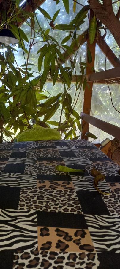 Treehouse Above The Beach ปอร์ตอันโตนิโอ ภายนอก รูปภาพ
