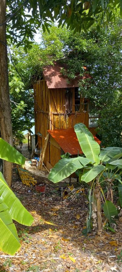 Treehouse Above The Beach ปอร์ตอันโตนิโอ ภายนอก รูปภาพ