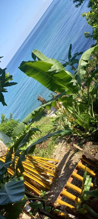 Treehouse Above The Beach ปอร์ตอันโตนิโอ ภายนอก รูปภาพ