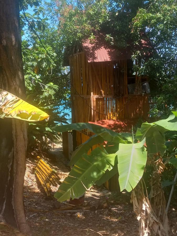 Treehouse Above The Beach ปอร์ตอันโตนิโอ ภายนอก รูปภาพ