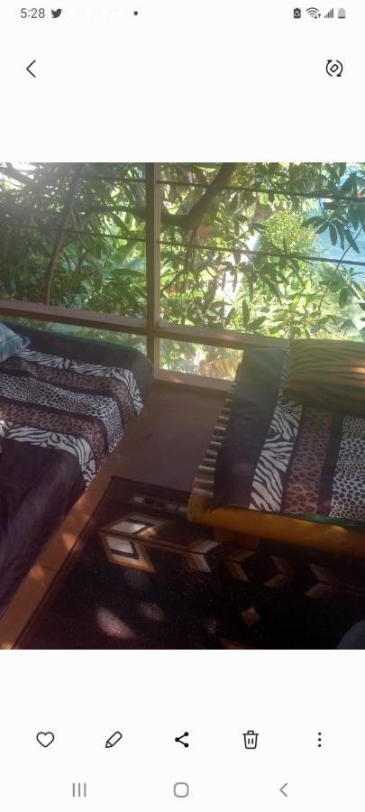 Treehouse Above The Beach ปอร์ตอันโตนิโอ ภายนอก รูปภาพ