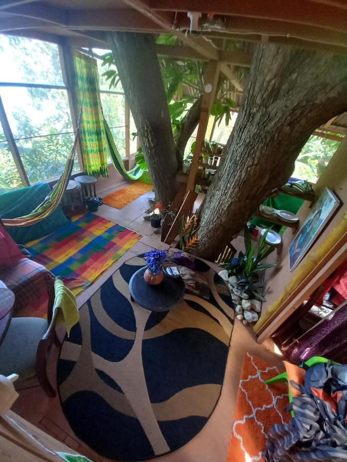 Treehouse Above The Beach ปอร์ตอันโตนิโอ ภายนอก รูปภาพ