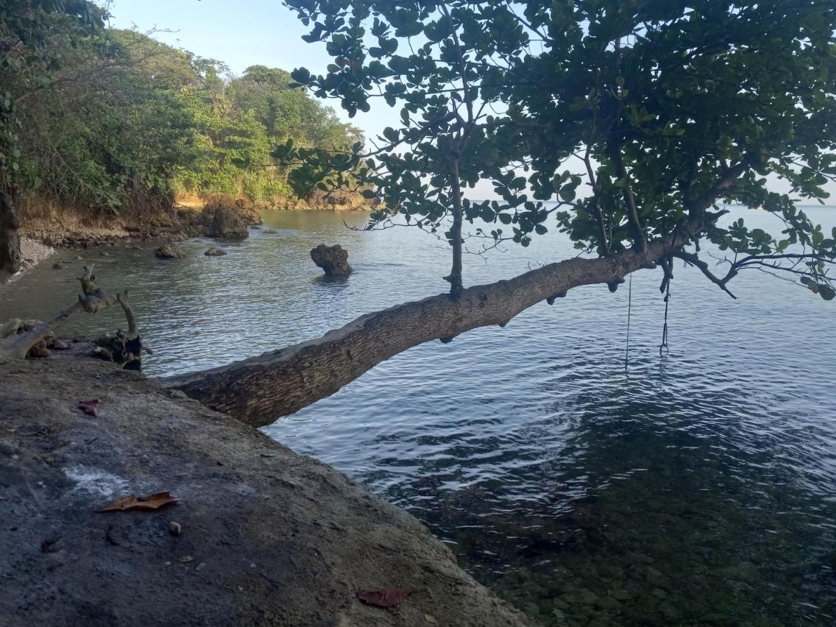 Treehouse Above The Beach ปอร์ตอันโตนิโอ ภายนอก รูปภาพ