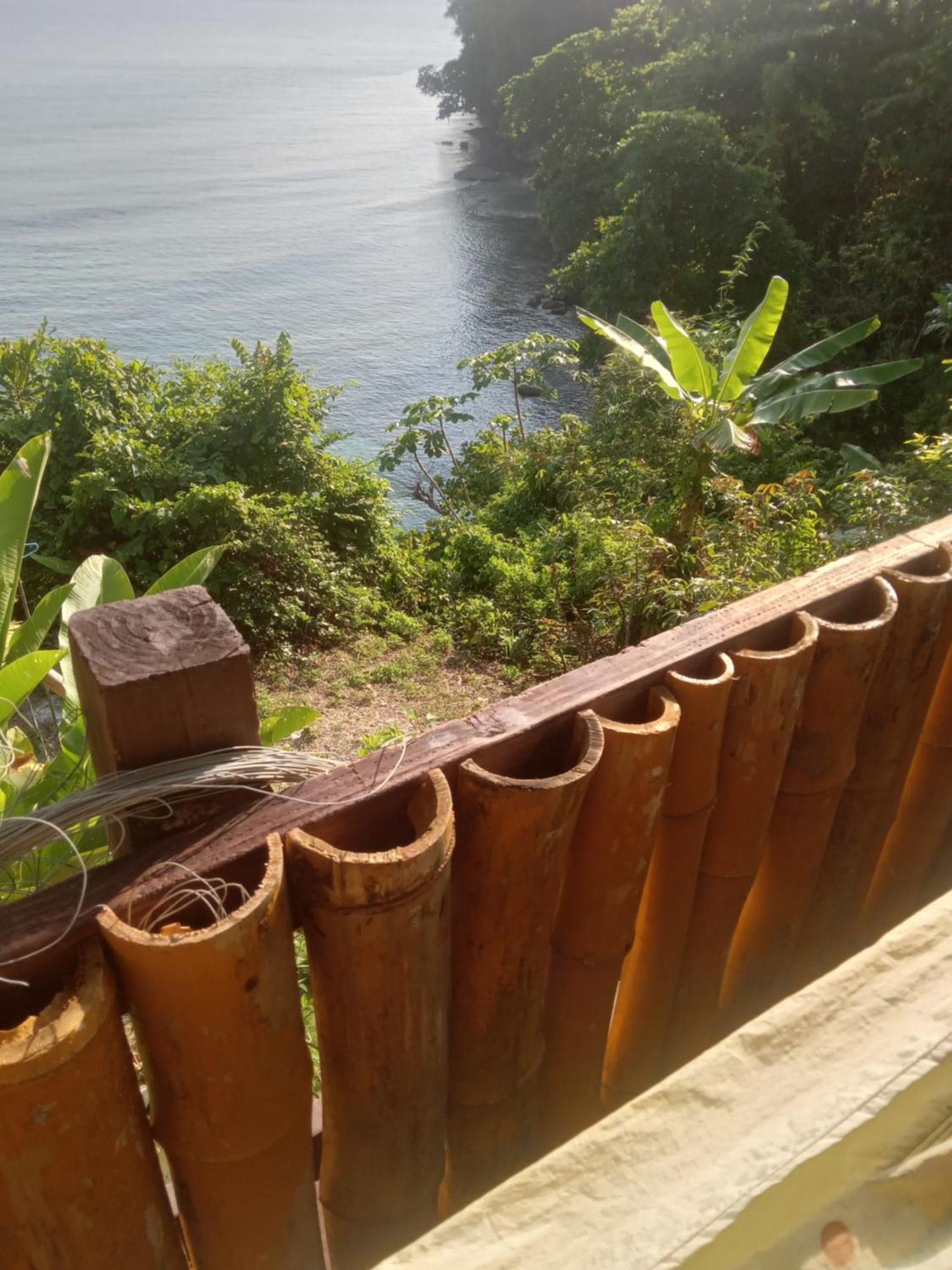 Treehouse Above The Beach ปอร์ตอันโตนิโอ ภายนอก รูปภาพ