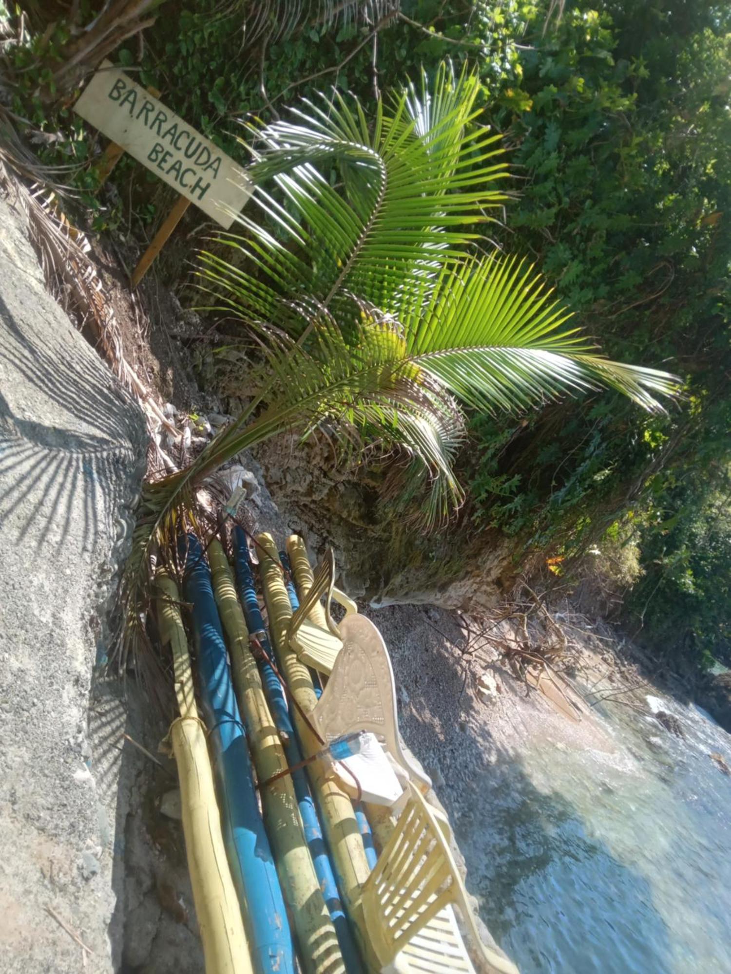 Treehouse Above The Beach ปอร์ตอันโตนิโอ ภายนอก รูปภาพ